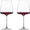 Schott Zwiesel Vivid Senses Velvety & Sumptuous 140 Wijnglas 710 Ml Kristalglas 2 Stuks
