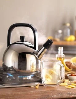 Zwilling Plus Fluitketel Rond 1,6 Liter Rvs -Beste Keukenproducten Winkel zwilling plus fluitketel rond 1 5 liter rvs